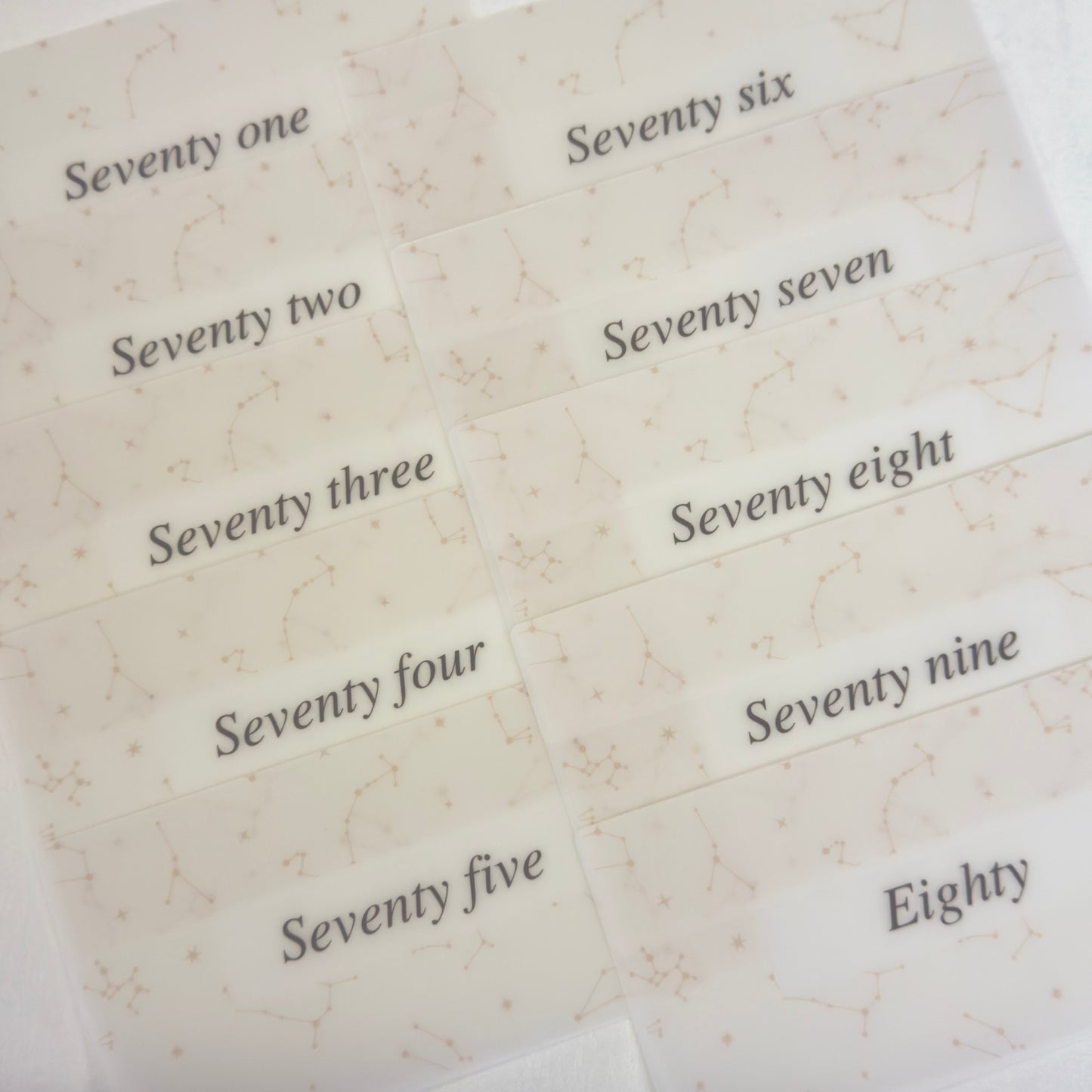 🌟横版Saving Box組合 (Daily/100 Envelops)